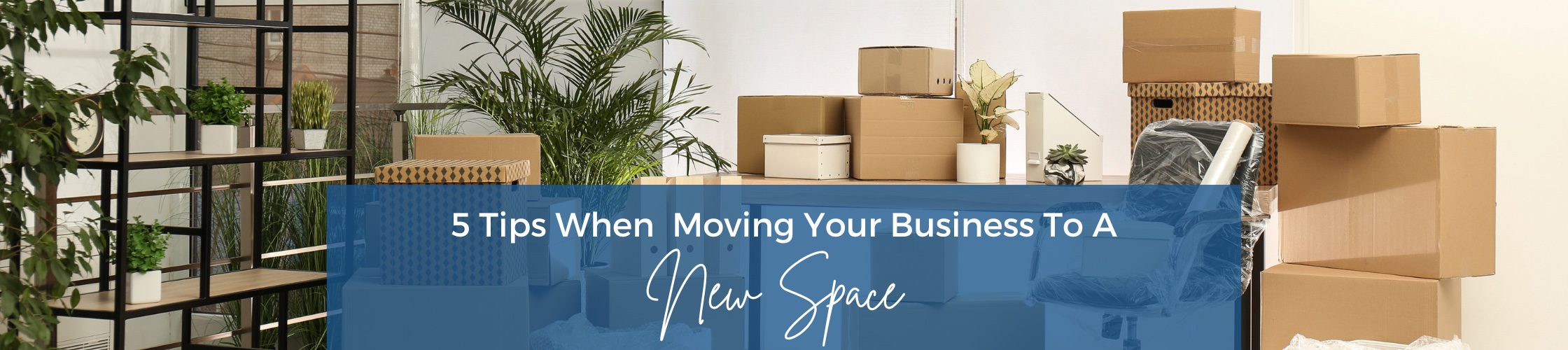 5 Tips When Moving Your Business